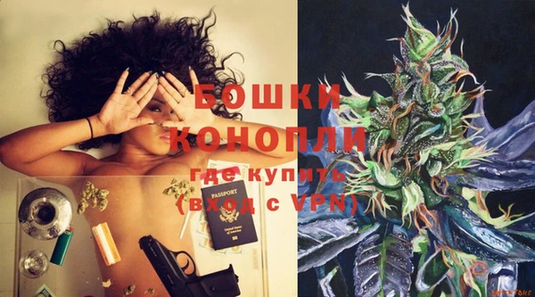 прущие грибы Бронницы