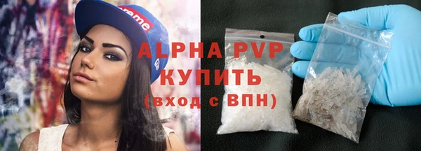 прущие грибы Бронницы