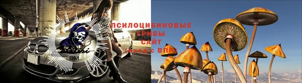 ГАЛЛЮЦИНОГЕННЫЕ ГРИБЫ Бугульма
