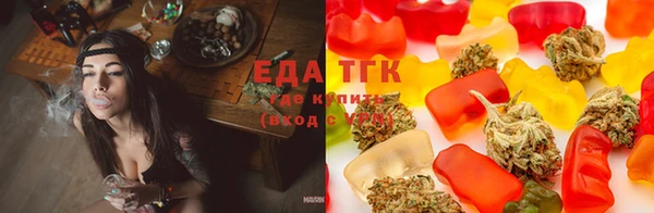 прущие грибы Бронницы