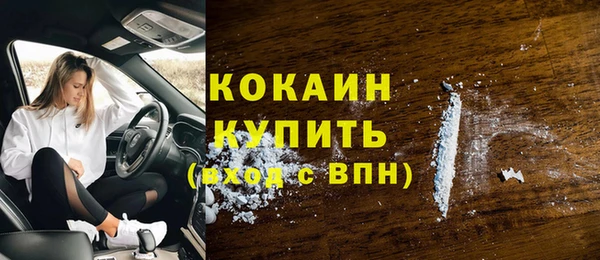 прущие грибы Бронницы