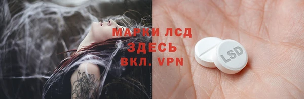 прущие грибы Бронницы