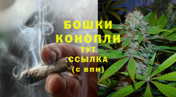 ГАЛЛЮЦИНОГЕННЫЕ ГРИБЫ Бугульма