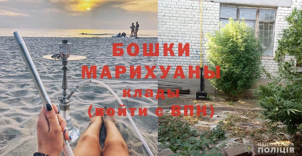прущие грибы Бронницы