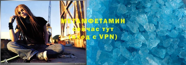 прущие грибы Бронницы