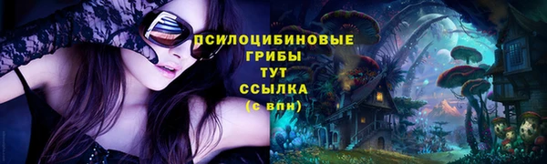ГАЛЛЮЦИНОГЕННЫЕ ГРИБЫ Бугульма