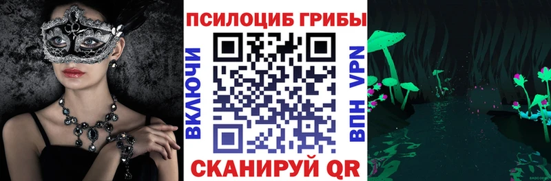 Купить  Будённовск  Псилоцибиновые грибы MAGIC MUSHROOMS 
