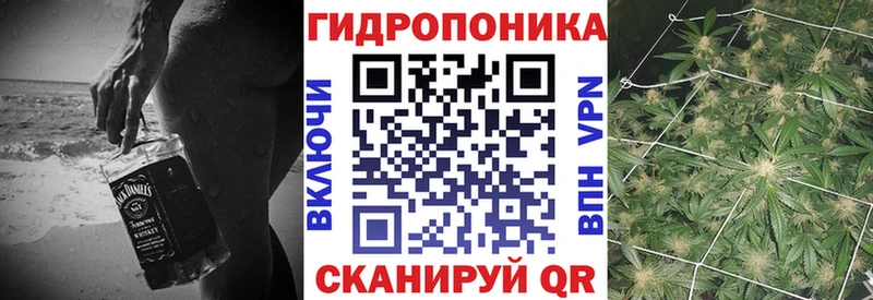 Бошки марихуана план  Купить где  Будённовск 